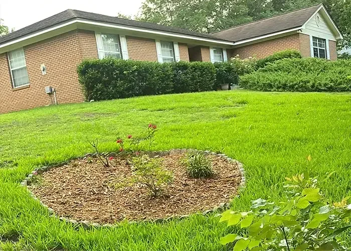 Finished front yard with a green lawn and a circular mulch bed with plantings