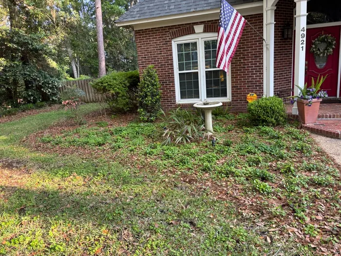 Front bed at a brick home covered in weeds and fallen leaves with no defined edge to the lawn