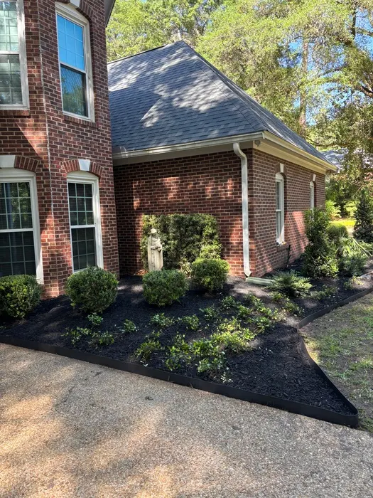 Side foundation bed refreshed with black dyed mulch, black edging and trimmed boxwoods along the brick wall