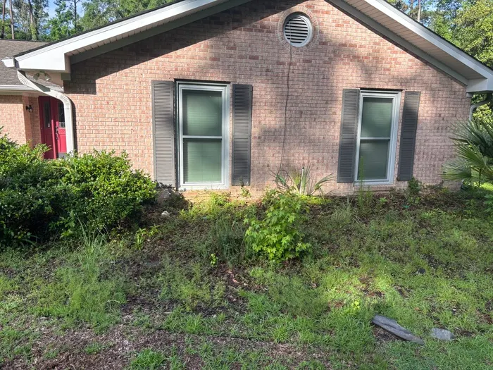 Side bed at a tan brick ranch overgrown with tall weeds and grass between the foundation shrubs