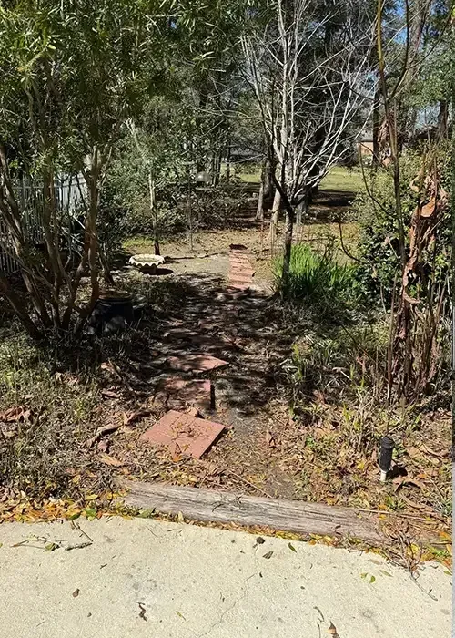 Overgrown side yard full of debris and weeds before cleanup