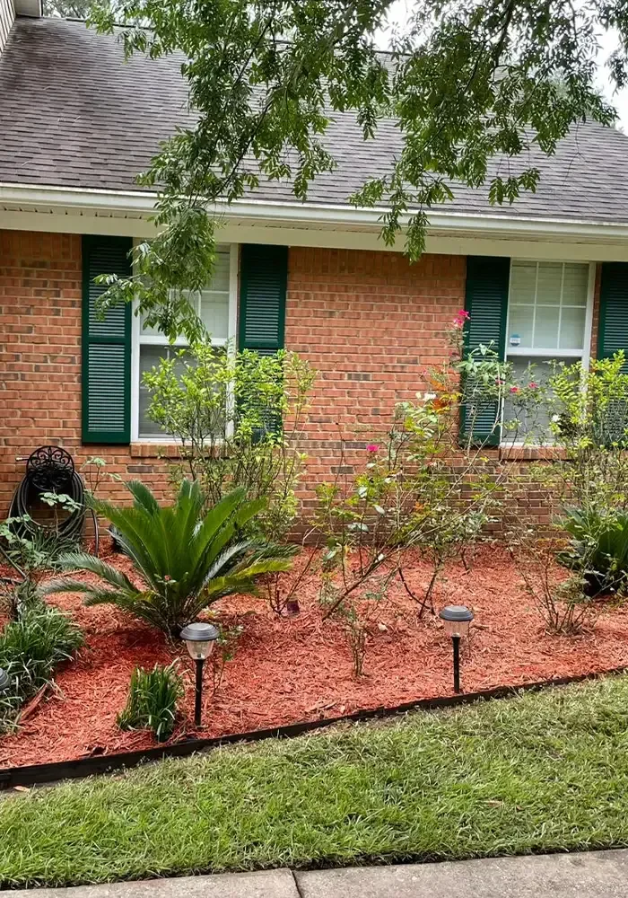 A landscaped Tallahassee front yard with mulch beds and pathway lighting