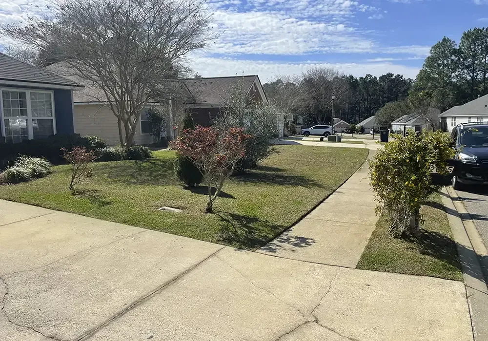 Residential front yard with mowed lawn, landscaped shrubs and trees in established beds
