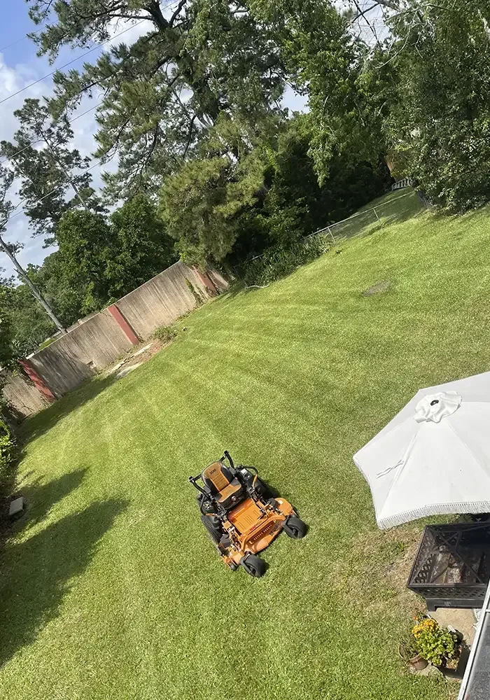 Aerial view of a freshly mowed Tallahassee lawn