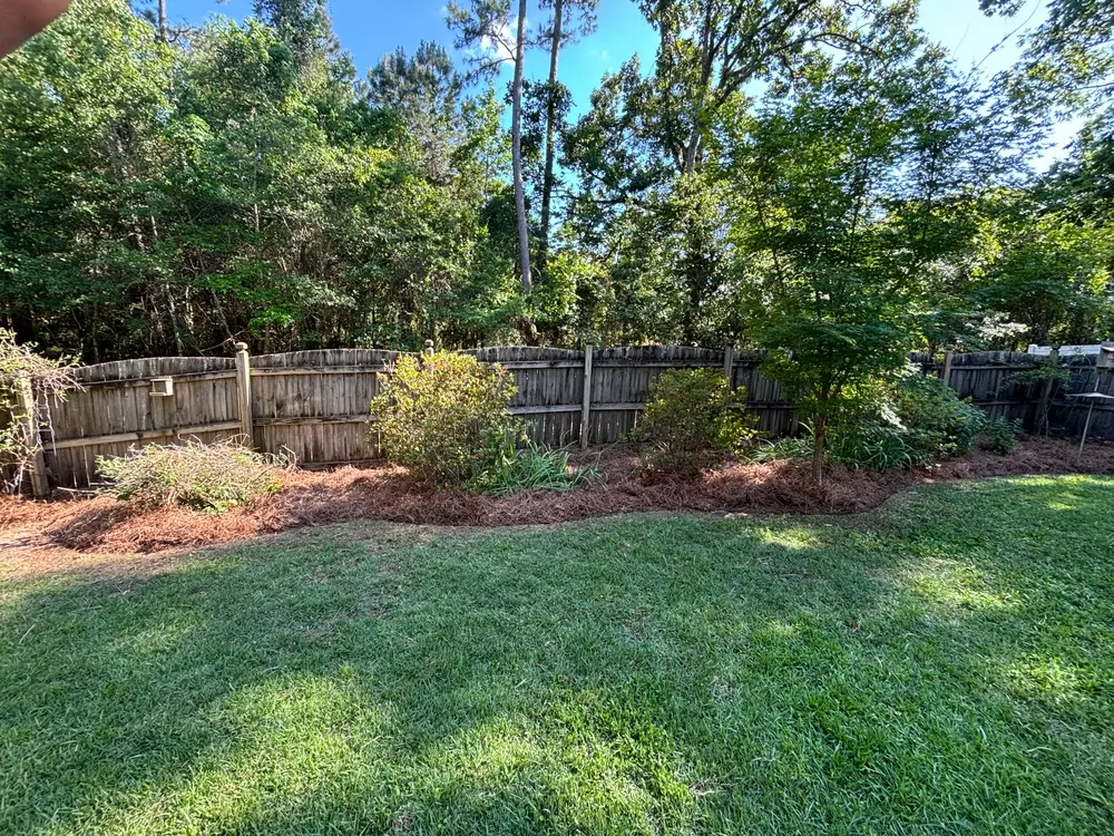Pine Straw Installation in Tallahassee